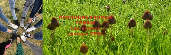 гашиш Аркадак