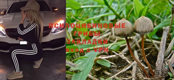 гашиш Аркадак